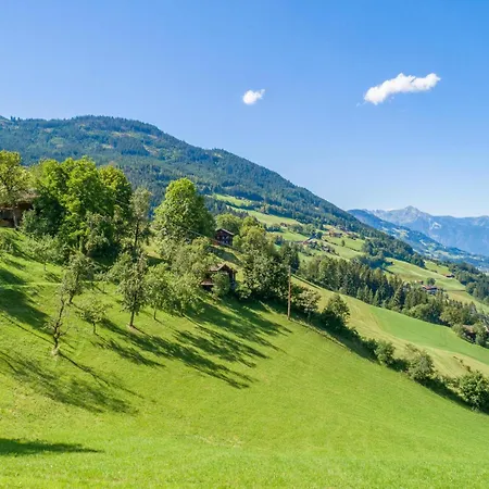 Apartment Alpenrose Kaltenbach